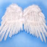 SKRZYDEŁKA Z PIÓR BIAŁE 53X37 CM 1