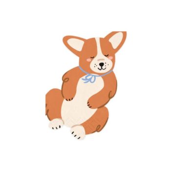 SERWETKI CORGI